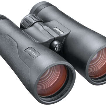 bushnell engage dx 12x50mm roof prism binoculars