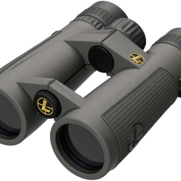 leupold bx 5 santiam hd 8x42mm porro prism binoculars