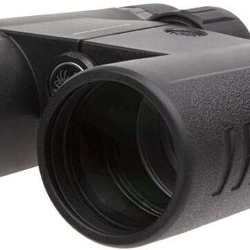 sig sauer buckmaster 10x42mm roof prism binoculars